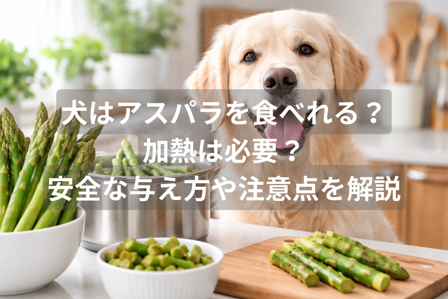 犬はアスパラを食べれる？加熱は必要？安全な与え方や注意点を解説