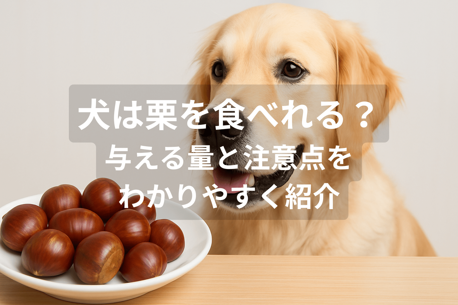 犬は栗を食べれる？与える量と注意点をわかりやすく紹介