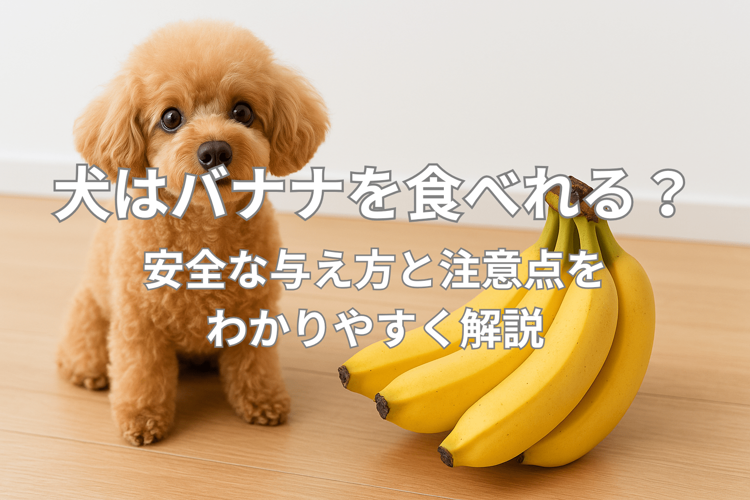 犬はバナナを食べれる?安全な与え方と注意点をわかりやすく解説