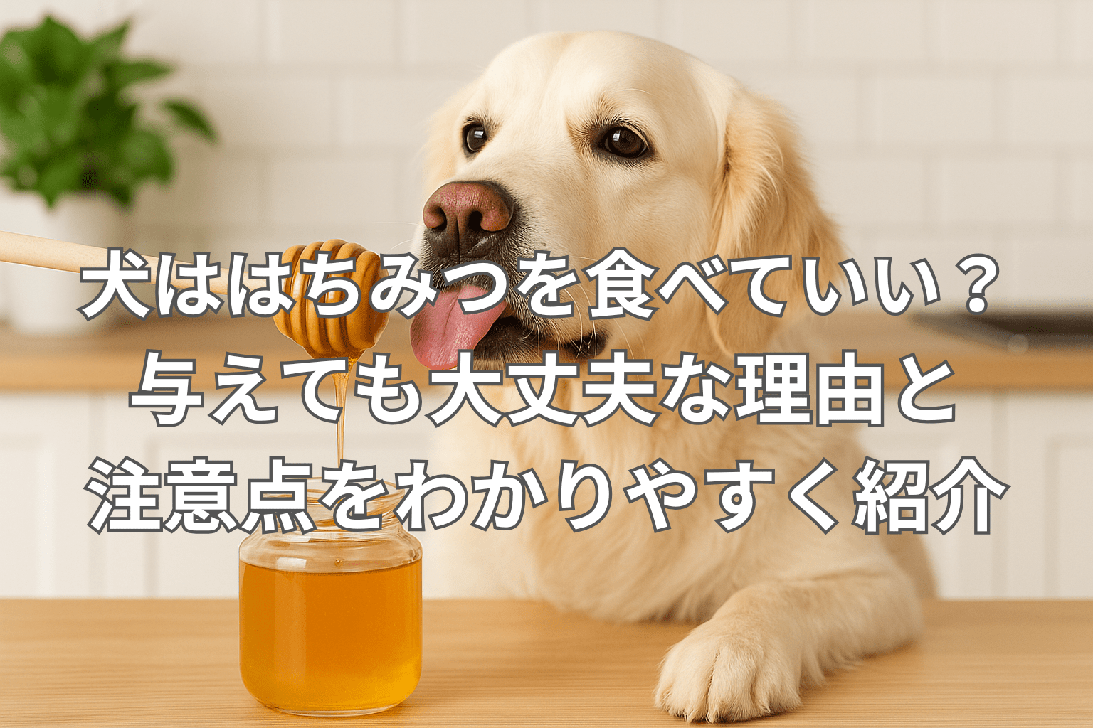 犬ははちみつを食べていい？与えても大丈夫な理由と 注意点をわかりやすく紹介