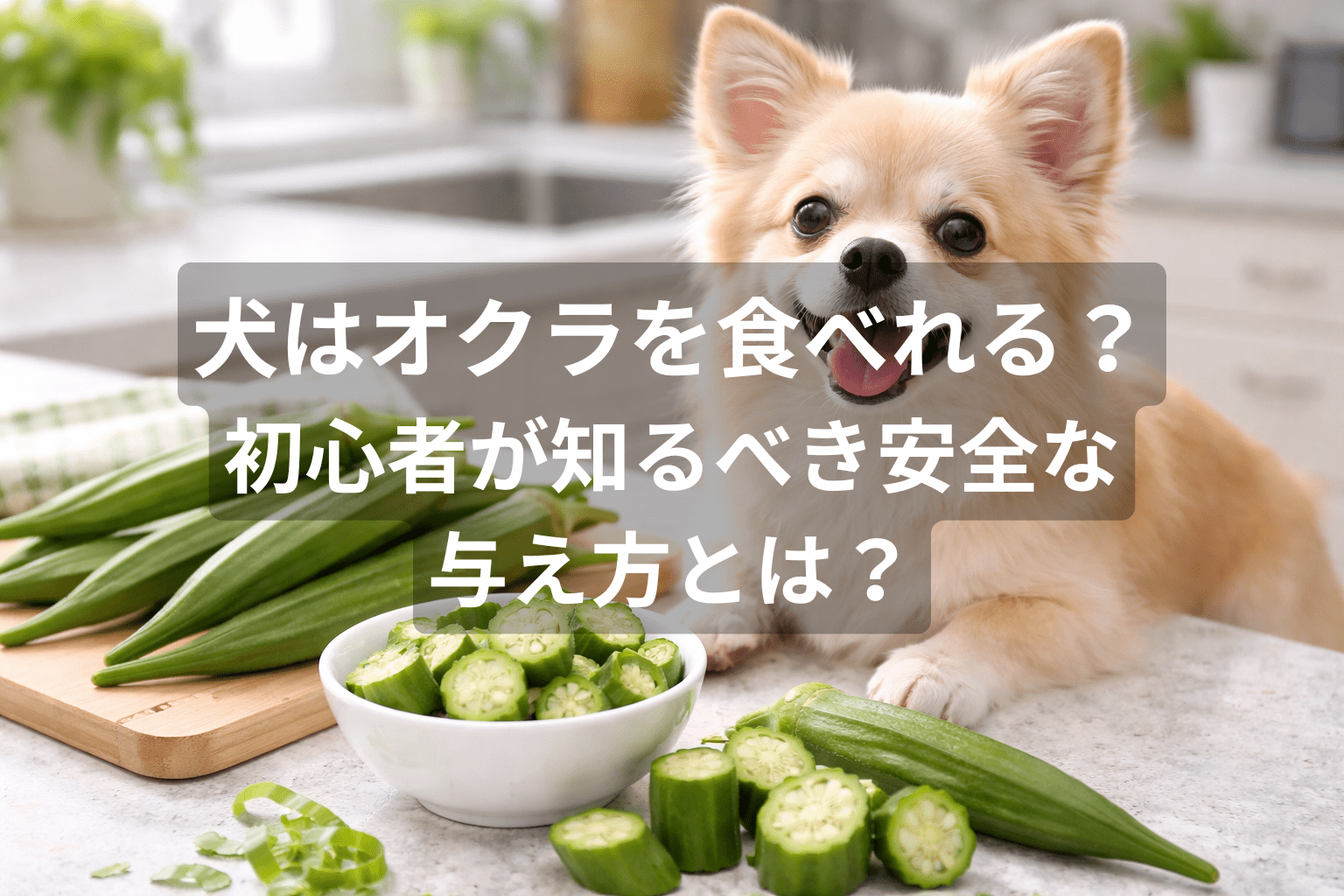 犬はオクラを食べれる？初心者が知るべき安全な与え方とは？