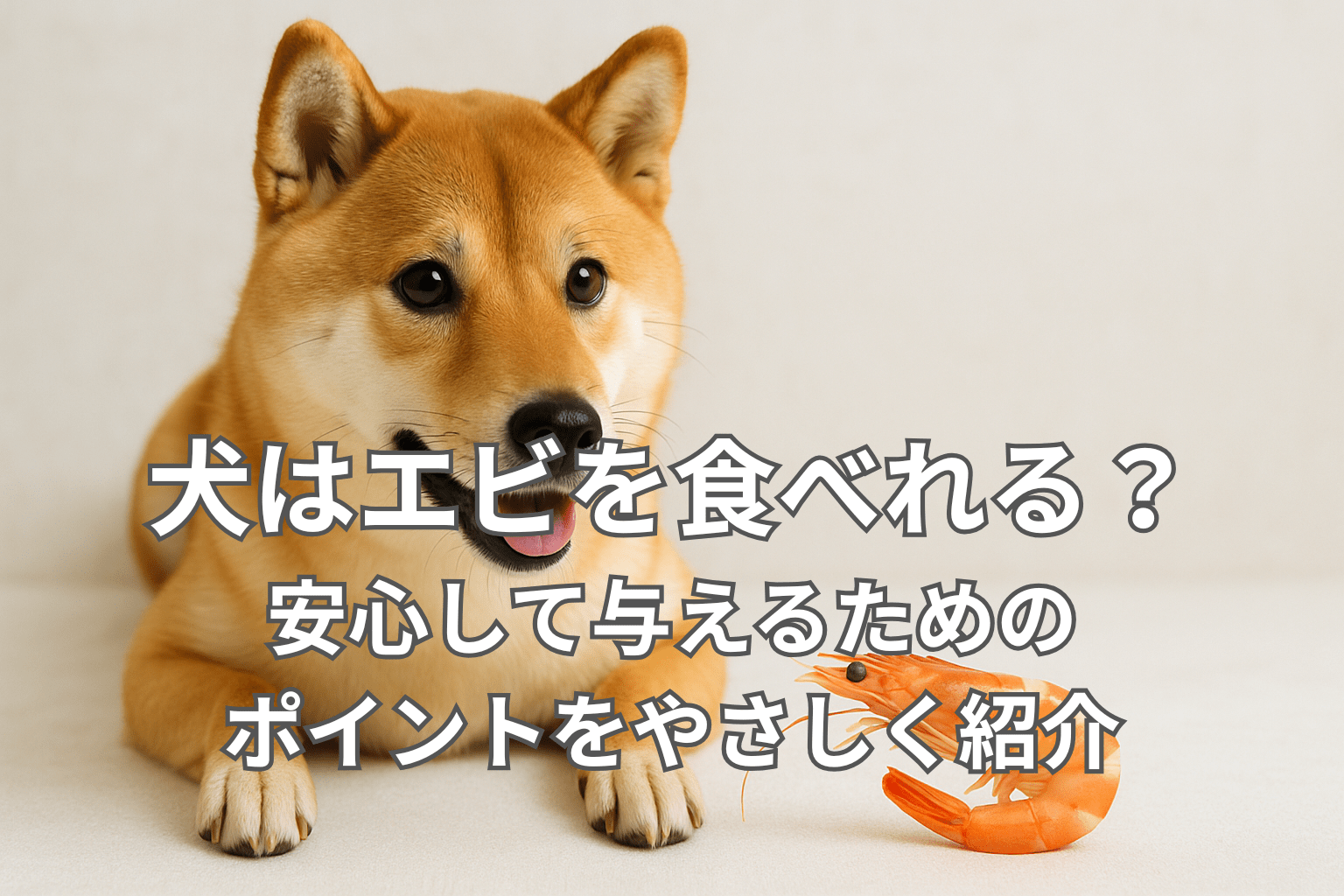 犬はエビを食べれる？安心して与えるためのポイントをやさしく紹介